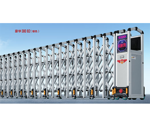  電動(dòng)伸縮門